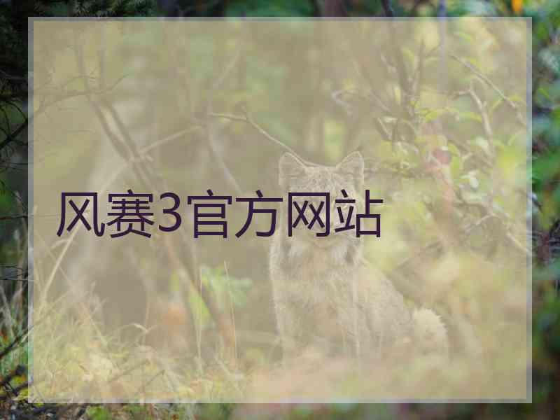 风赛3官方网站