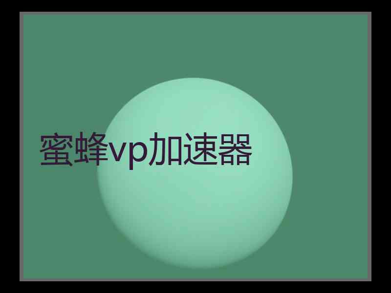 蜜蜂vp加速器