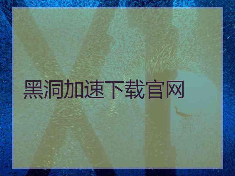 黑洞加速下载官网