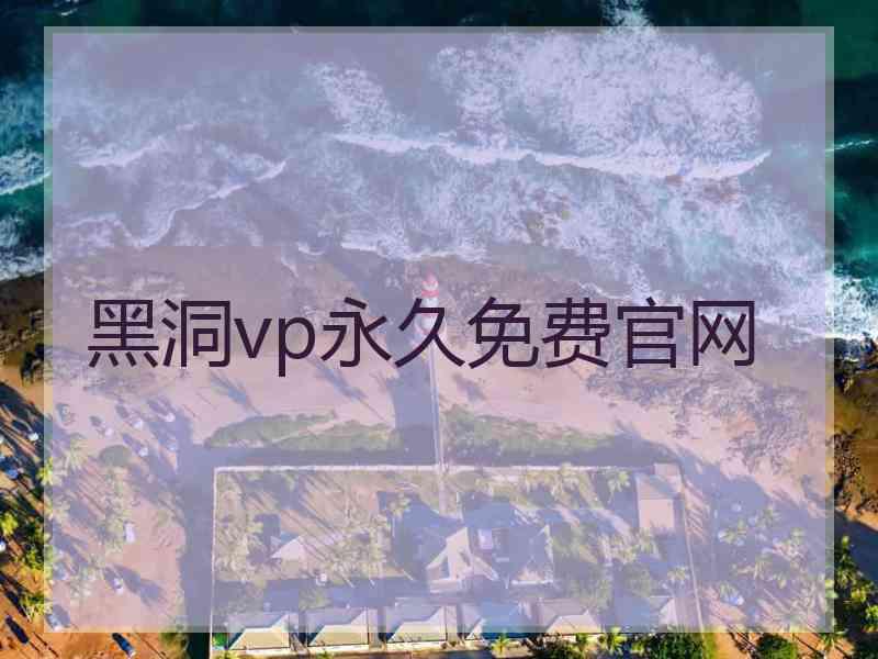 黑洞vp永久免费官网
