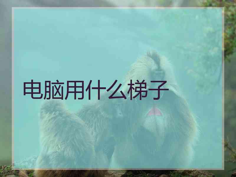 电脑用什么梯子