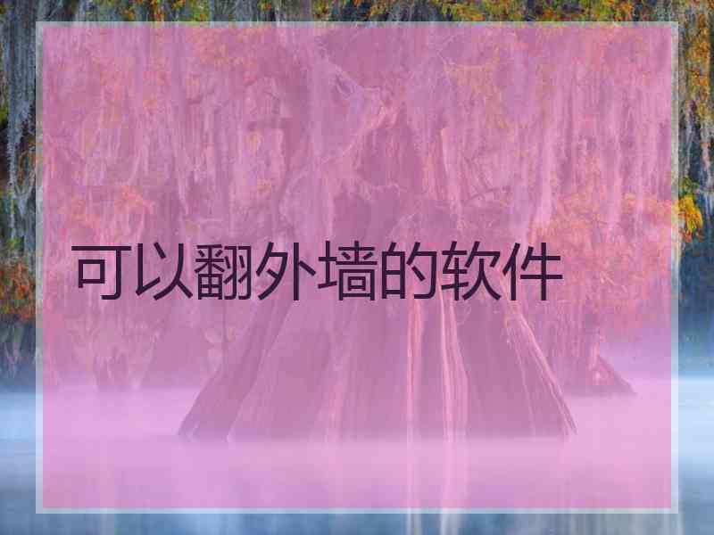 可以翻外墙的软件