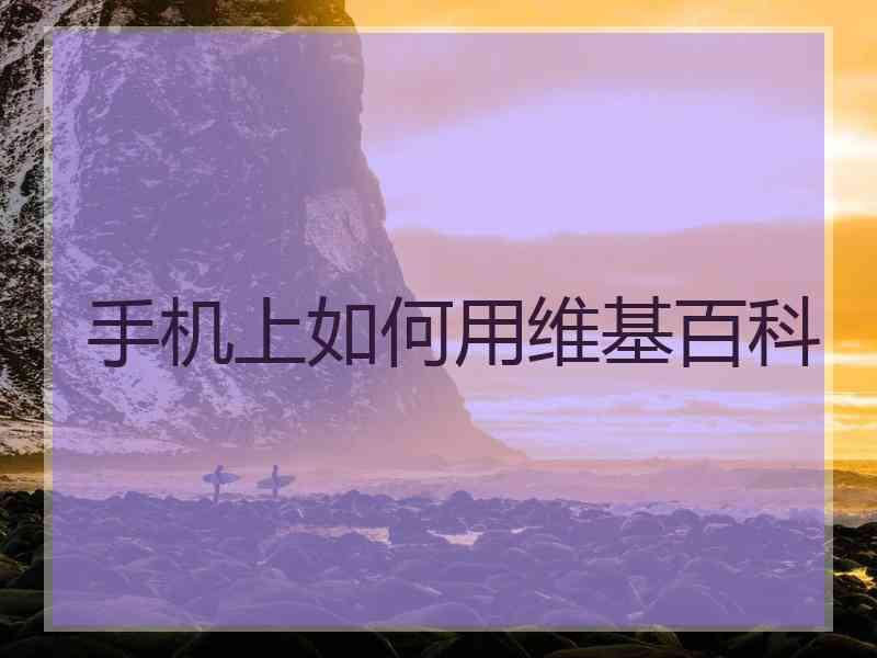 手机上如何用维基百科