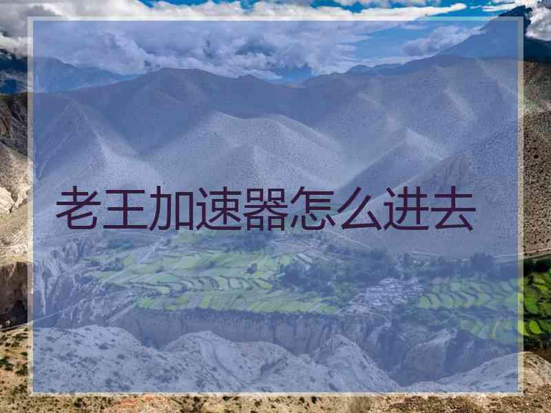 老王加速器怎么进去