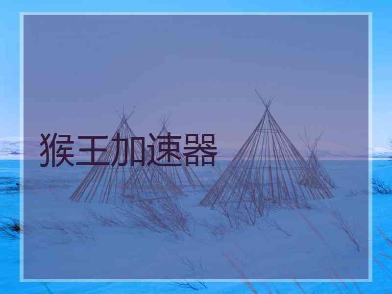 猴王加速器
