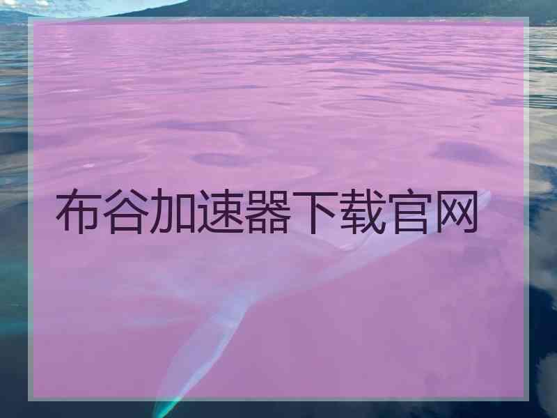 布谷加速器下载官网