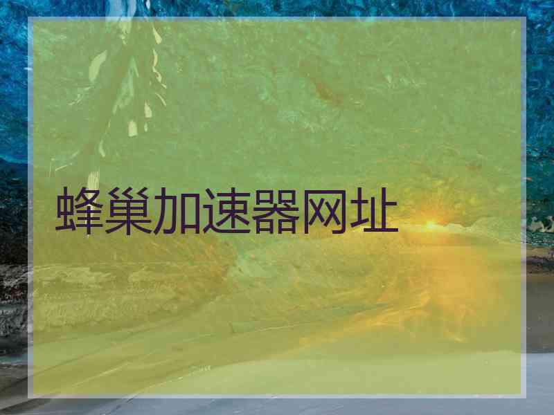 蜂巢加速器网址