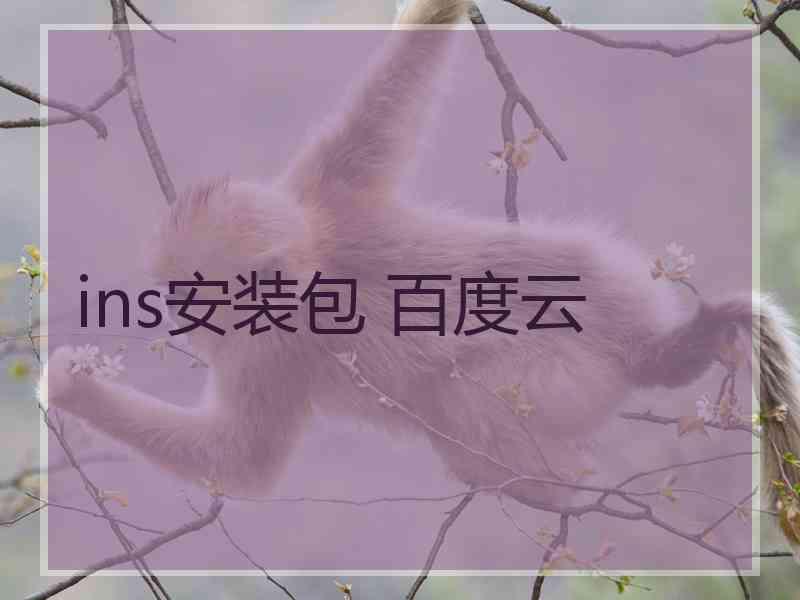 ins安装包 百度云