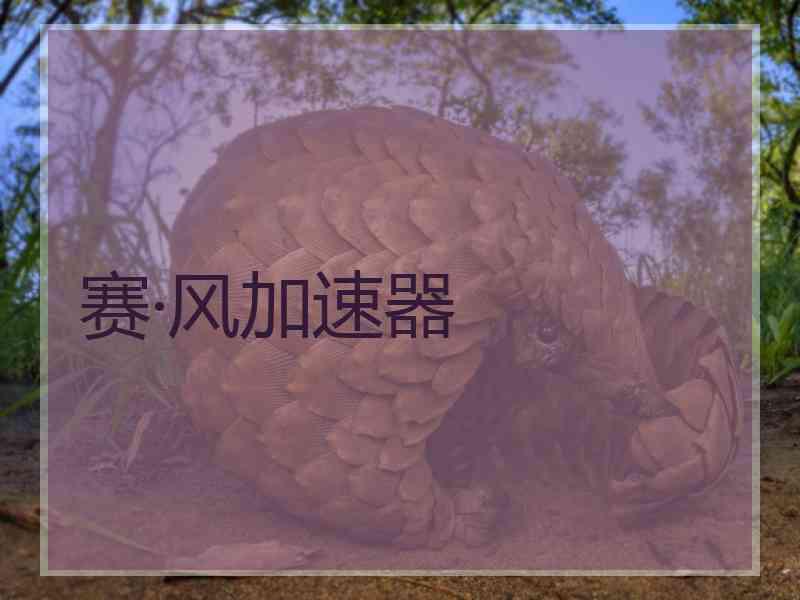 赛·风加速器