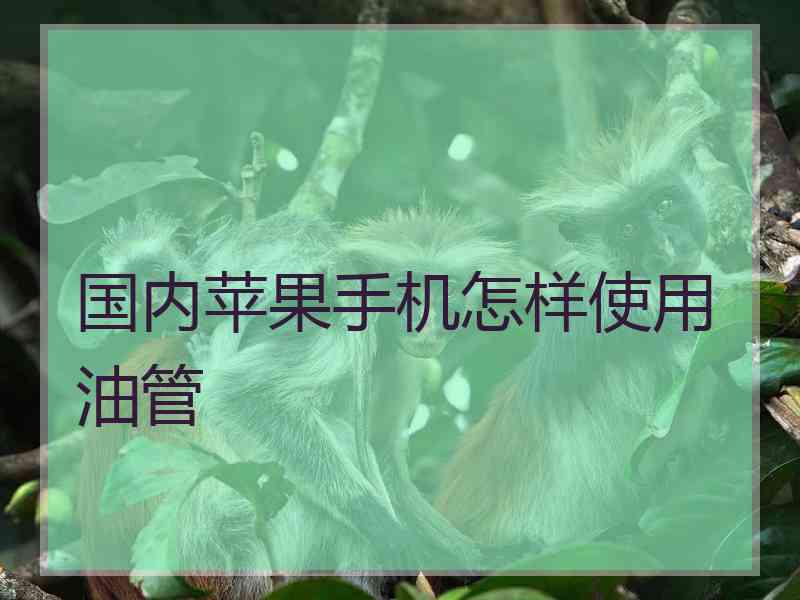 国内苹果手机怎样使用油管