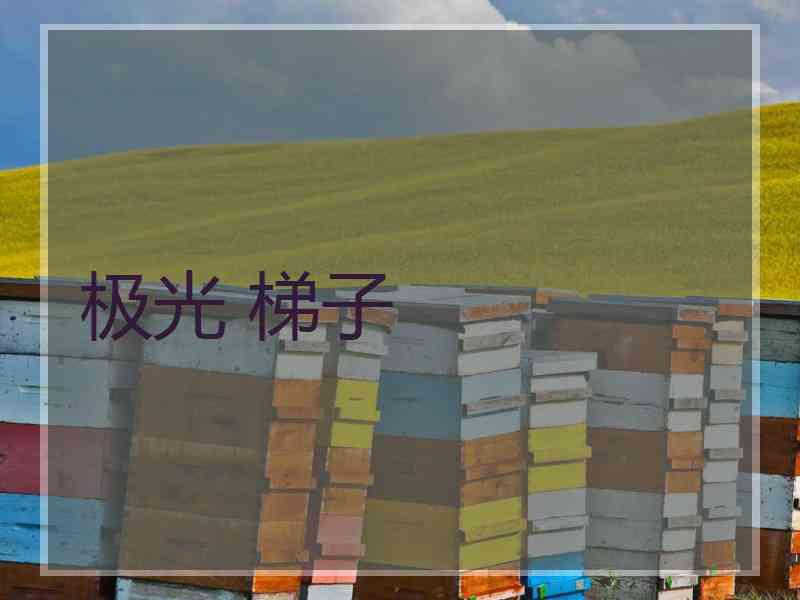 极光 梯子