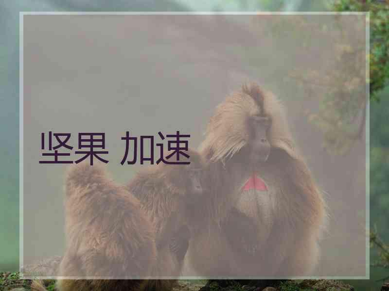 坚果 加速