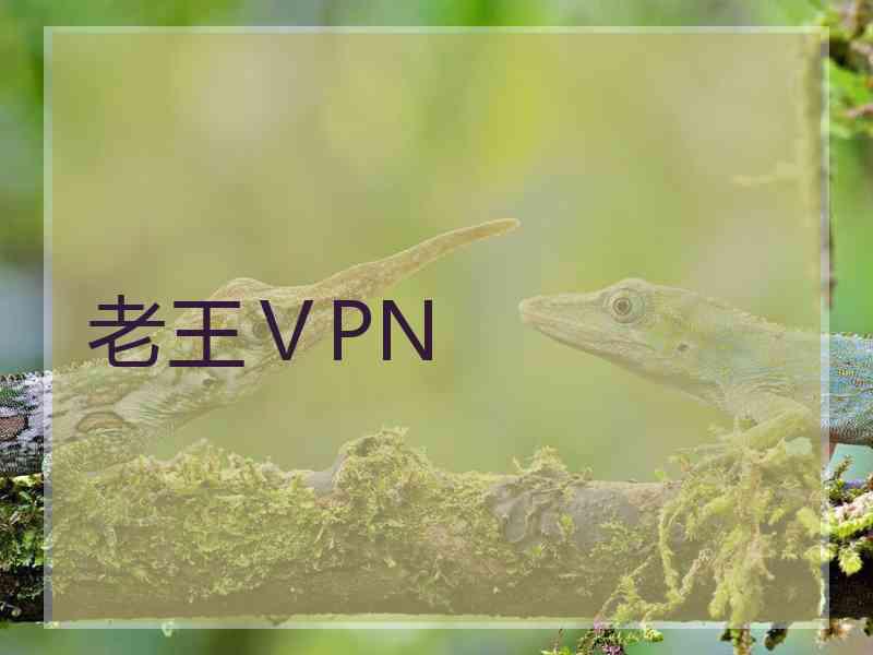 老王ⅤPN