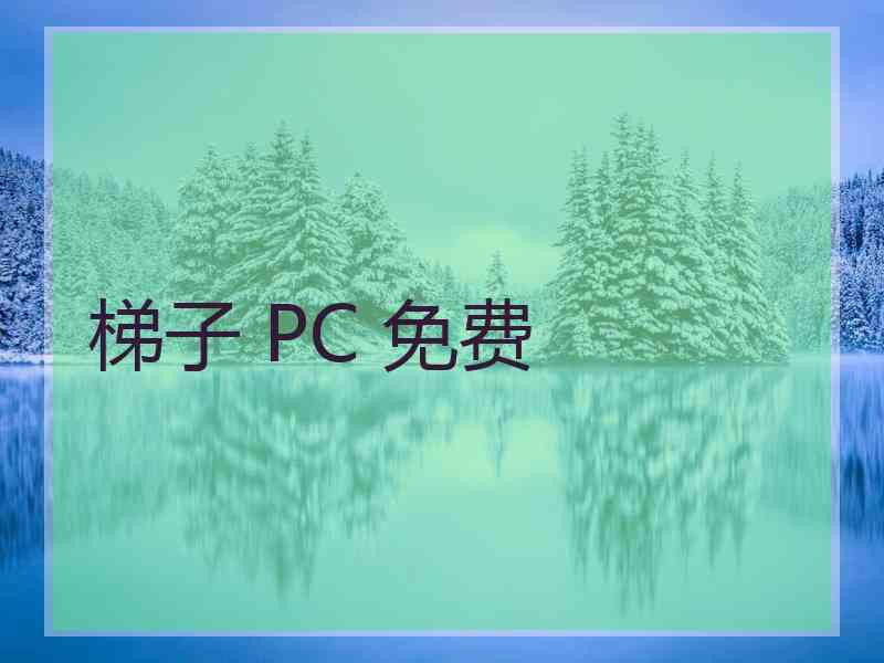 梯子 PC 免费