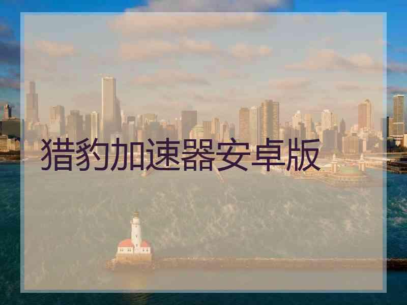 猎豹加速器安卓版