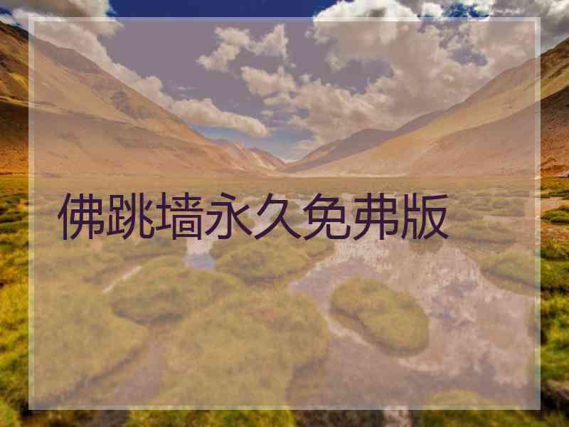 佛跳墙永久免弗版