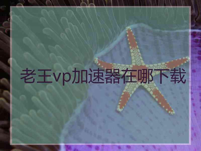 老王vp加速器在哪下载