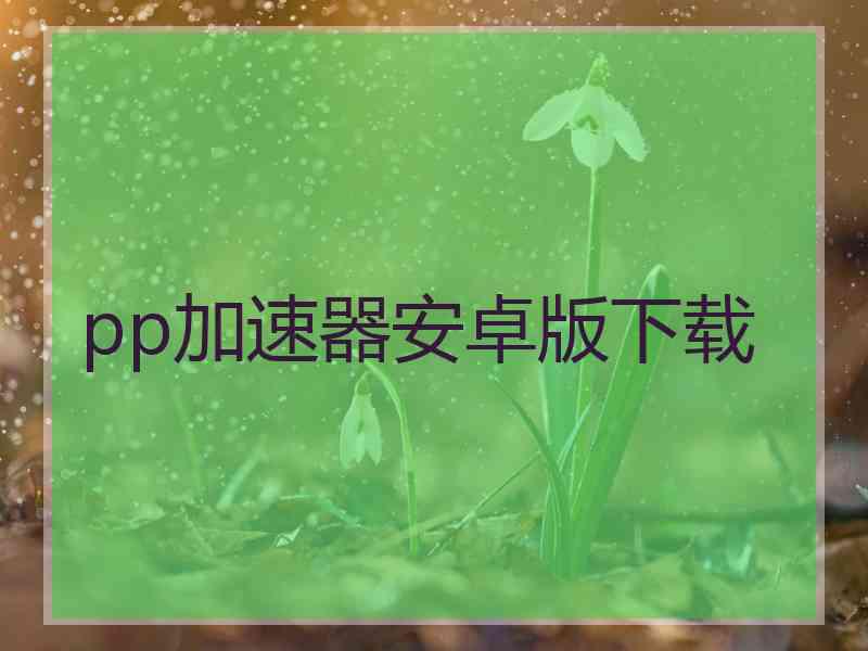 pp加速器安卓版下载