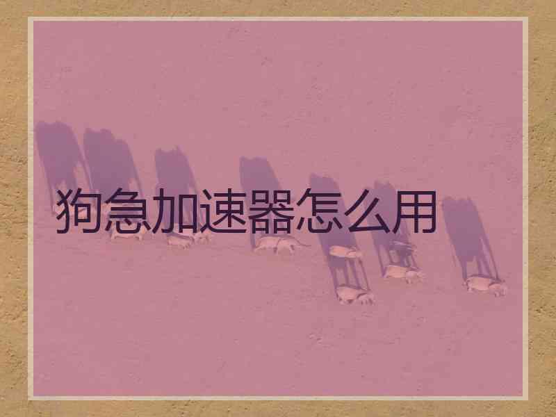 狗急加速器怎么用