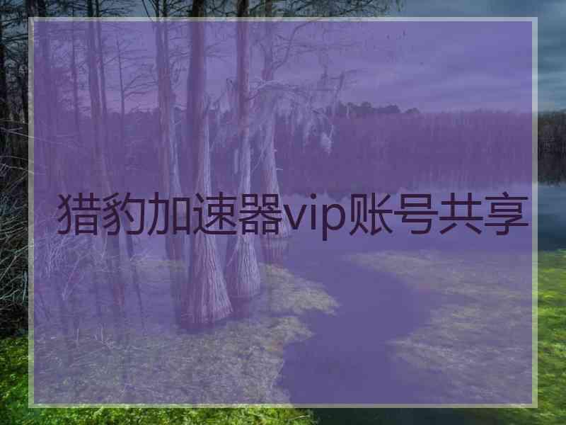 猎豹加速器vip账号共享