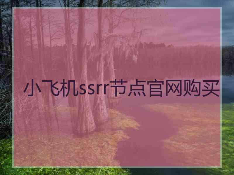 小飞机ssrr节点官网购买