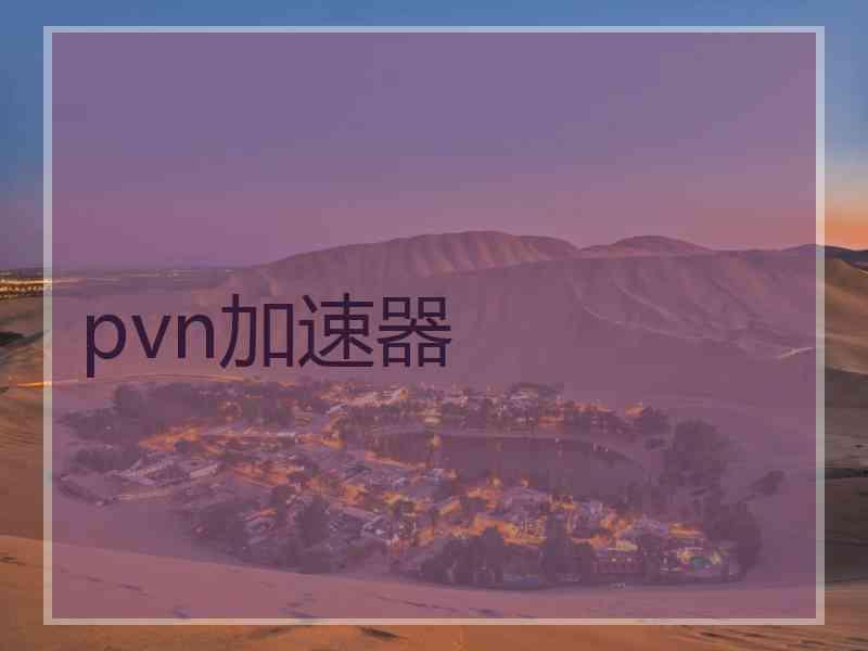 pvn加速器