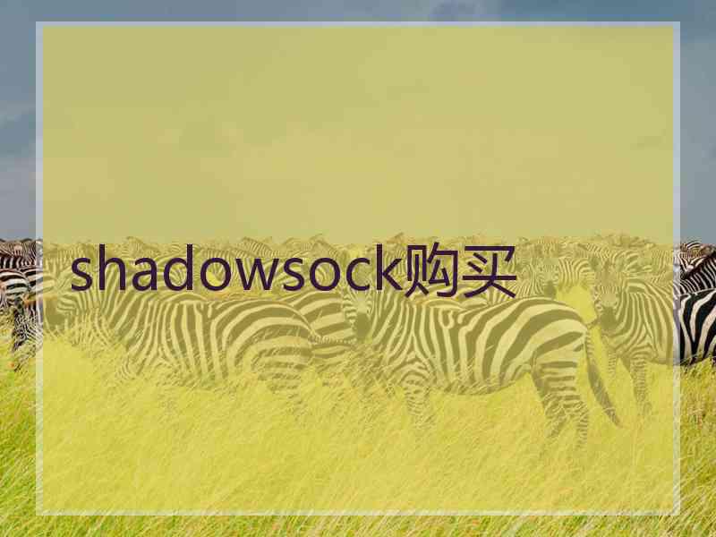 shadowsock购买