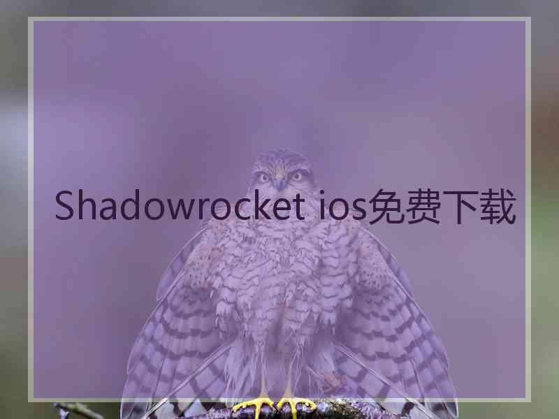 Shadowrocket ios免费下载