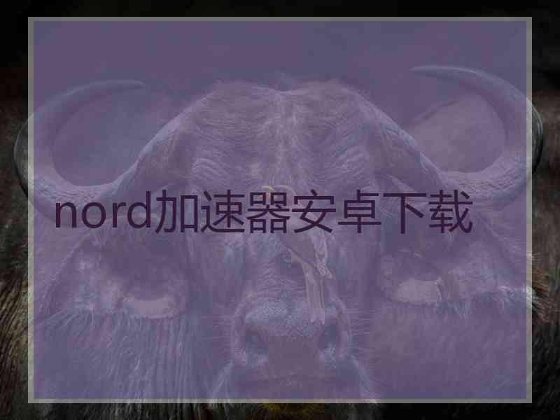 nord加速器安卓下载
