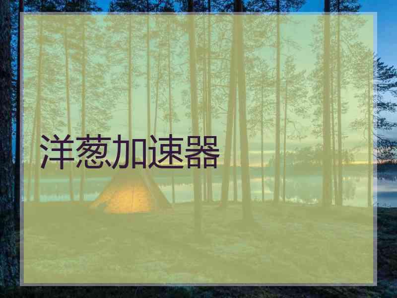 洋葱加速器