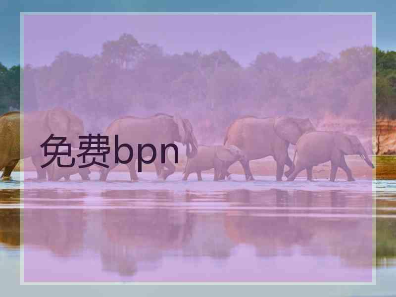 免费bpn