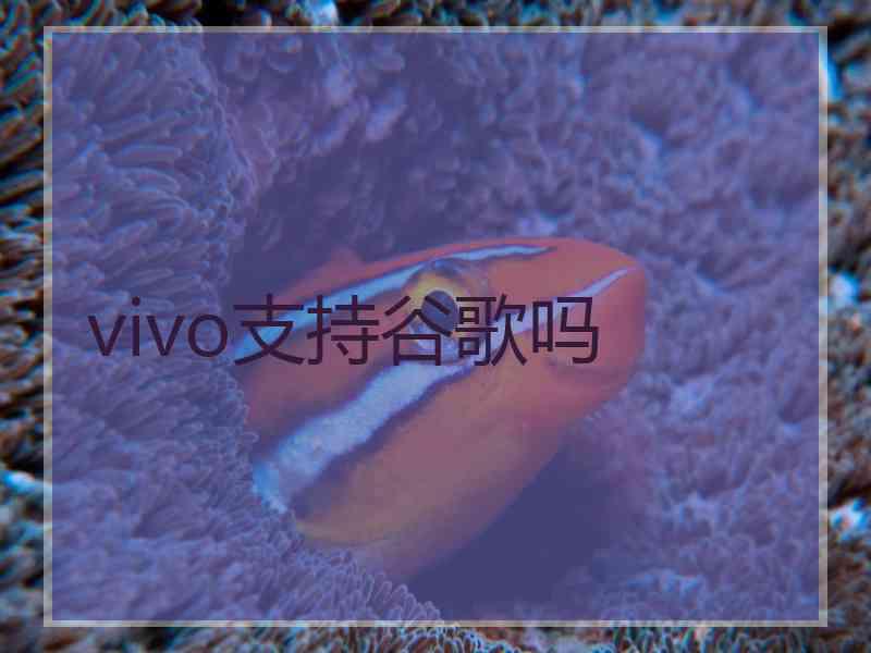 vivo支持谷歌吗