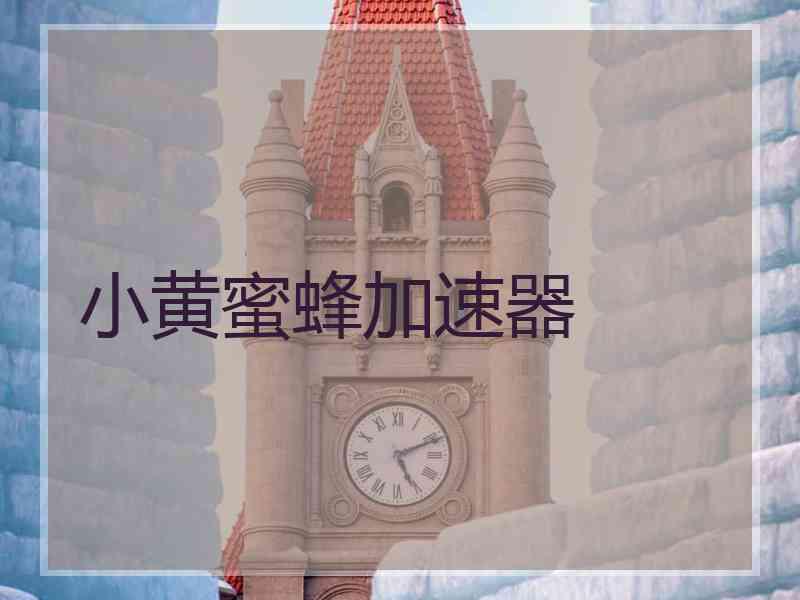 小黄蜜蜂加速器