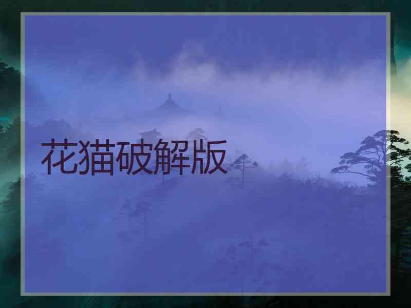 花猫破解版