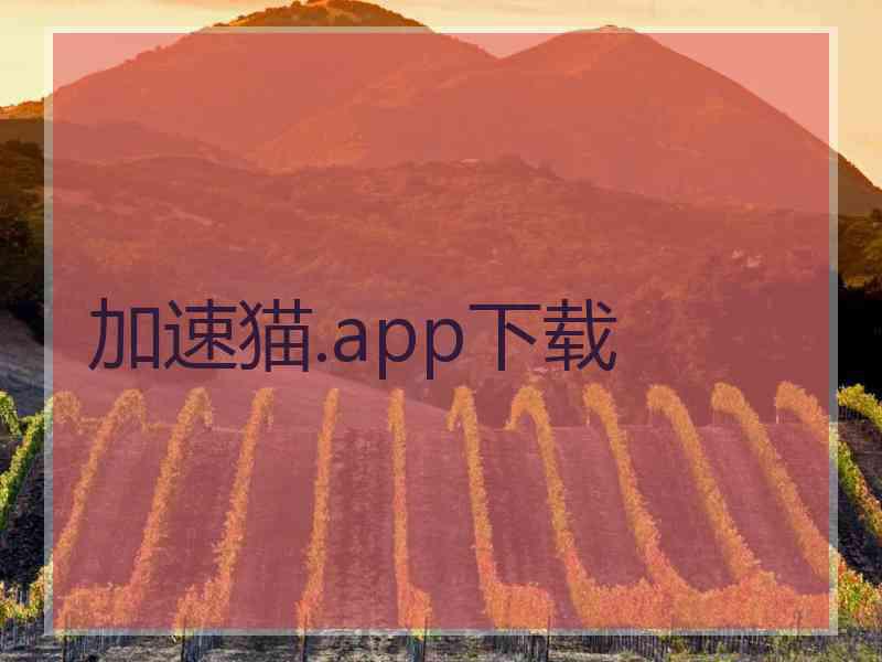 加速猫.app下载