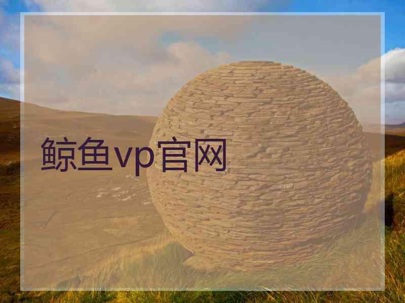 鲸鱼vp官网