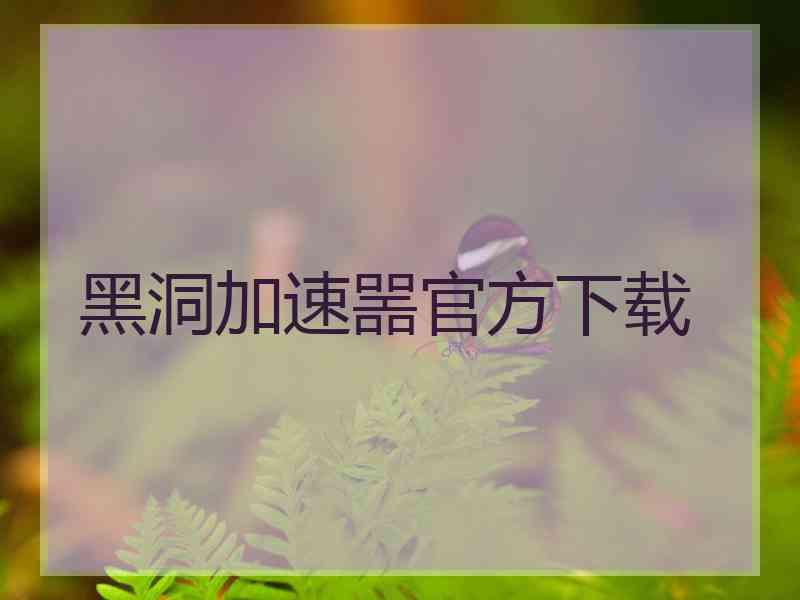 黑洞加速噐官方下载