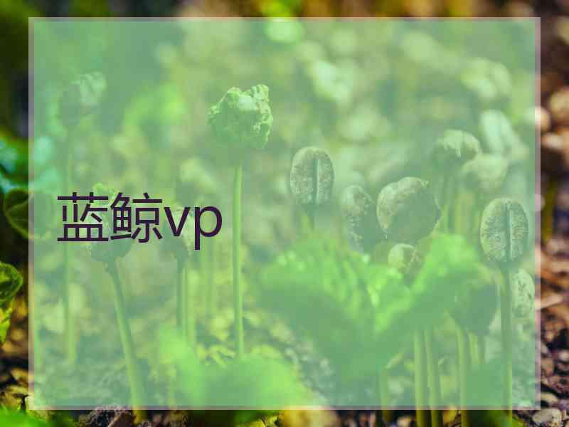 蓝鲸vp