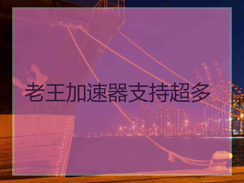老王加速器支持超多