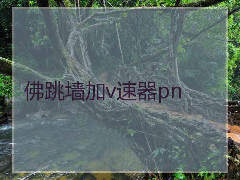 佛跳墙加v速器pn