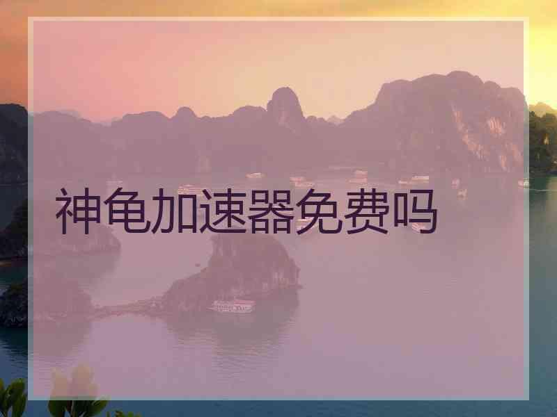 神龟加速器免费吗