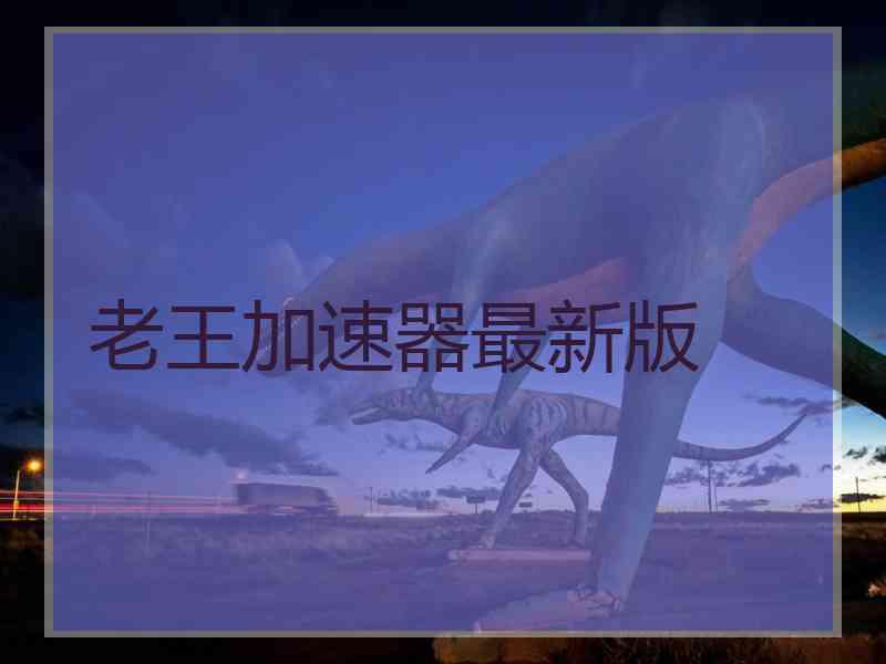 老王加速器最新版