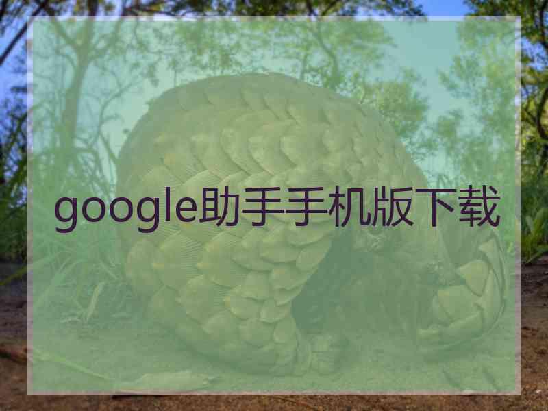google助手手机版下载