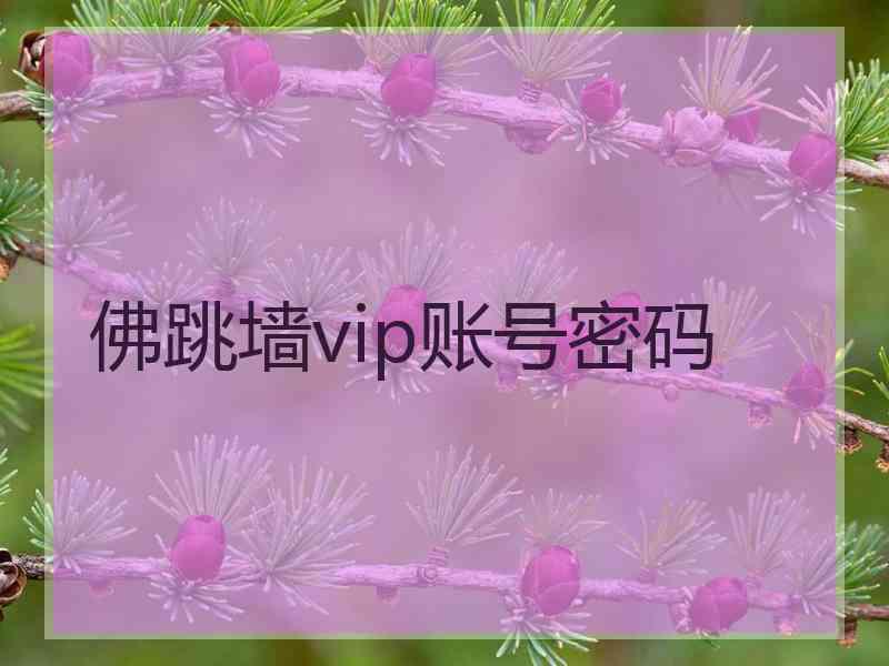 佛跳墙vip账号密码