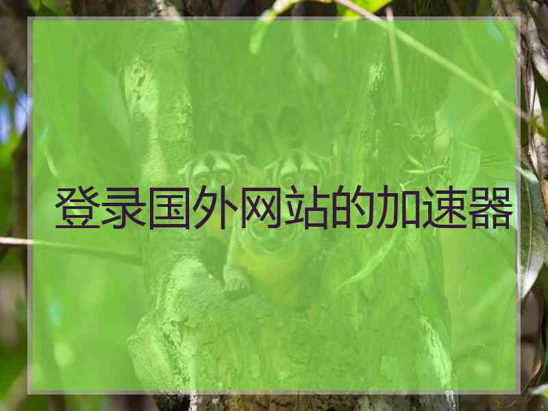 登录国外网站的加速器