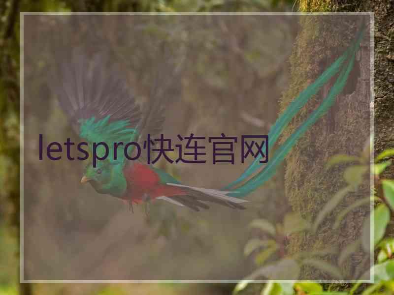 letspro快连官网