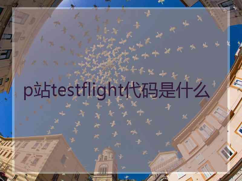 p站testflight代码是什么
