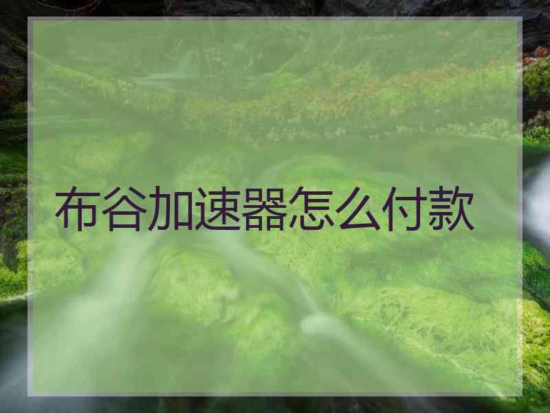 布谷加速器怎么付款