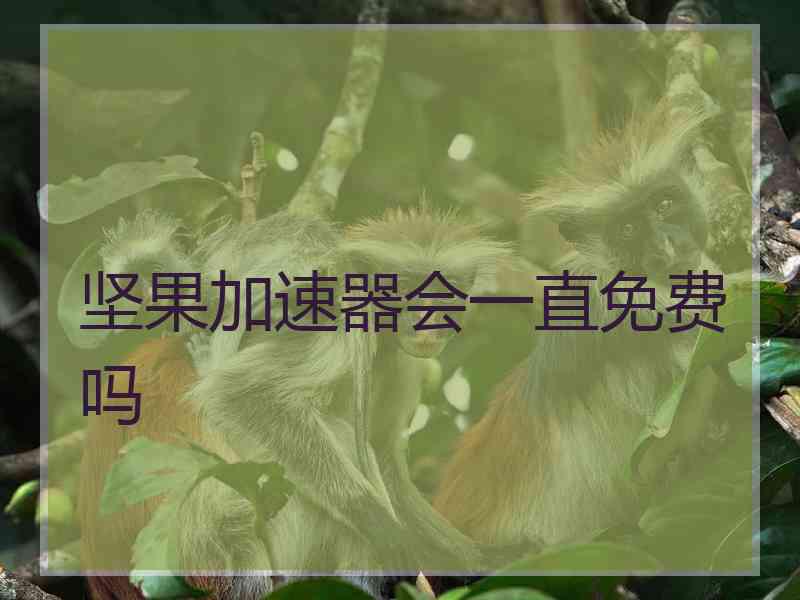 坚果加速器会一直免费吗