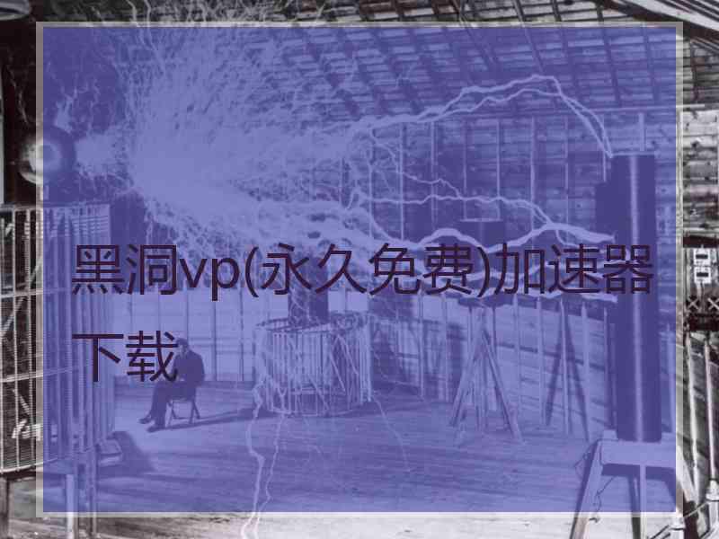 黑洞vp(永久免费)加速器下载